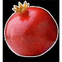 Pomegranate
