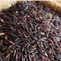 Black Rice