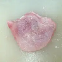 Winter Skate Wings