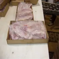 Skate Wings