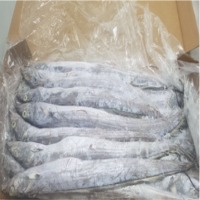 Ribbonfish