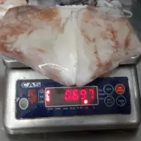 Frozen Wings Giant Squid (Dosidicus Gigas)