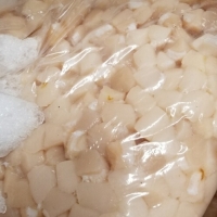 Frozen Scallop Meat