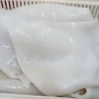 Giant Squid Fillet