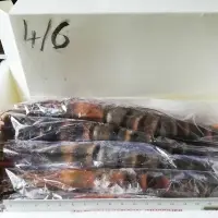 Wild Raw Whole Shrimp (Peneaus monodon)