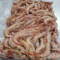 Argentine Red Shrimps (Pleoticus muelleri)