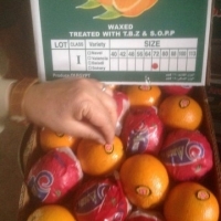 Fresh Valencia Orange