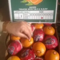 Fresh Valencia Orange
