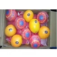 Navel Orange
