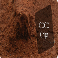 Coco Chips