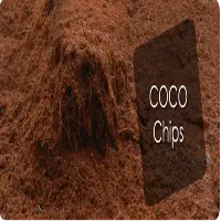 Coco Chips