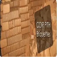650g Coirpith Briquettes