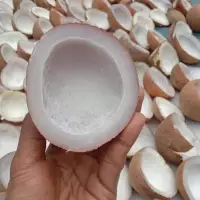 Copra Origin Indonesia