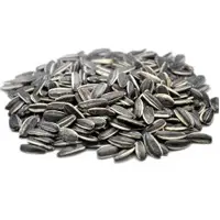 Sunflower Seeds
