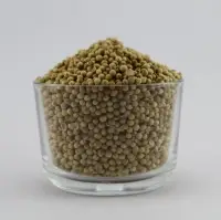 Caraway Seeds