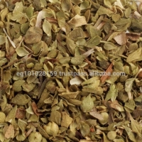 Sage Leaves