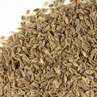 Dill Seeds