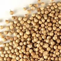 Coriander Seed