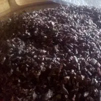 Cacao Nibs