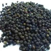 Black Pepper
