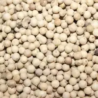 White Pepper