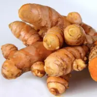 Fresh Turmeric