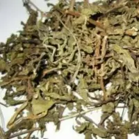 Java Tea