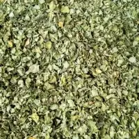 Moringa Leaves