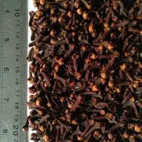 Cloves