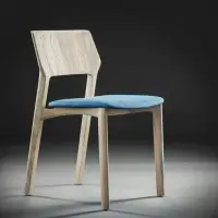Dining Set Chair Modern