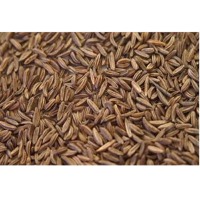 Caraway