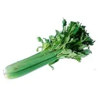 Celery