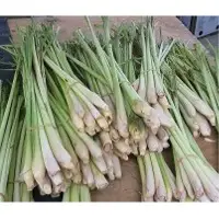 Lemon grass