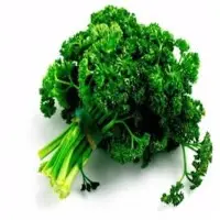 Parsley