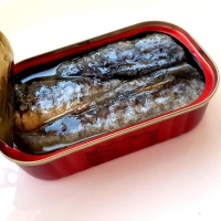 Canned Sardine
