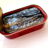 Canned Sardine
