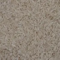 Non Basmati Sona Masuri Rice
