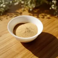 Soy Sauce Powder