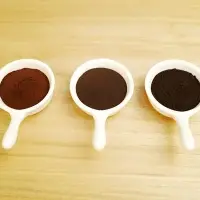 AIPU Food CCP-002 Caramel Color Powder E150c