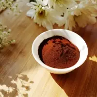 Aipu Food CCP-001 Caramel Color Powder E150c