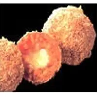 Arancini