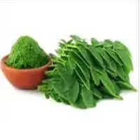 Moringa Leaves Powder