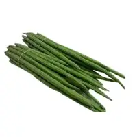 Fresh Drumsticks
