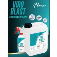 Ayurvedic Disinfect