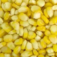 Maize or Corn
