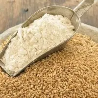 Wheat (Ghehu)