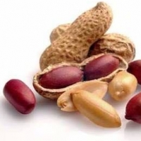 Peanut