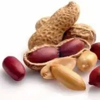 Peanut