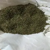 Dry Spearmint