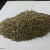 Thyme